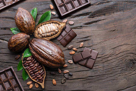 Cocoa beans and chocolate