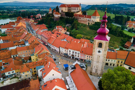 Veduta della città di Ptuj