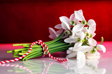 Bouquet of snowdrops