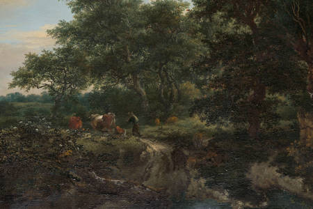 Jacob van Ruisdael: „Forest Scene”