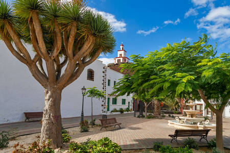 Street on the island of El Hierro