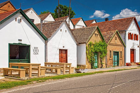 Wine houses in Villani