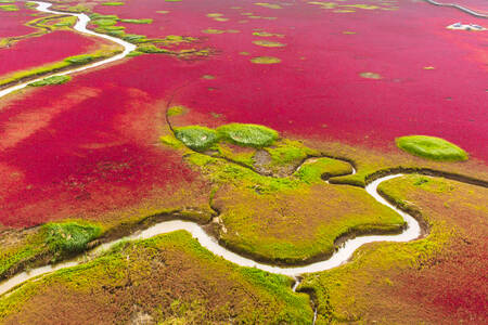 Red Beach Panjin