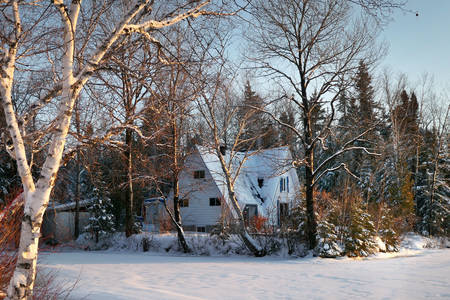 L'hiver dans un village canadien