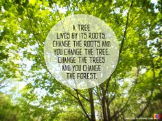 ... you change the forest. #wisdom #quote #hoyumpa #livelittlelovebig More