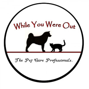 Pet Sitting Services