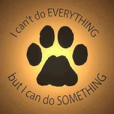 Animal Rescue Quotes