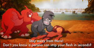 tarzan terk quotes