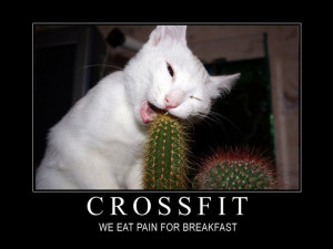 funny crossfit quotes - Google Search