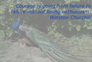 Inspirational Quotes about Courage