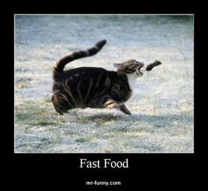 Fast Food