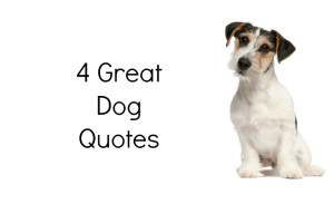 dog_quotes-300x192.jpg