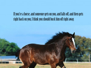 Animals Quotes Wallpaper 1024x768 Animals, Quotes, Horses