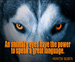 ANIMAL QUOTES