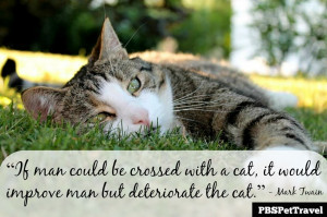 cat quote 5