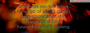 Sometimes you just have to let go of what's gone, appreciate what ...