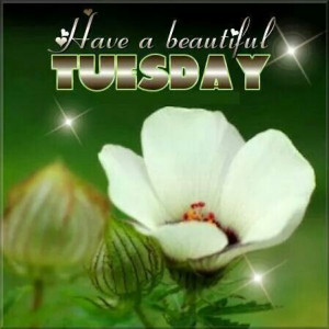 Have a beautiful Tuesday....