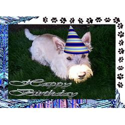 scottie_dog_greeting_card.jpg?height=250&width=250&padToSquare=true