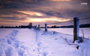 Footprints in the snow wallpaper 1280x800