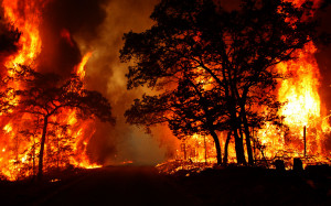 forest-fire_04-PS.jpg