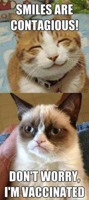 Top 20 Grumpy Cat Quotes – Hilarious and Funny