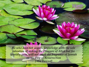 islamicgleams:The fragrance of Jannah