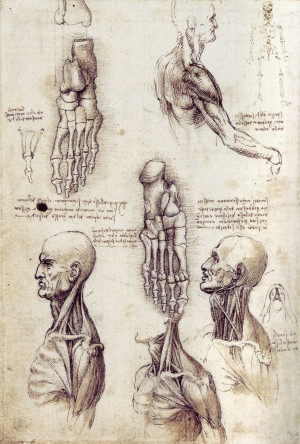 À savoir qu'il a pratiqué la dissection pour connaitre l'anatomie ...