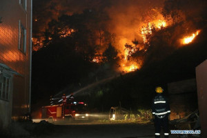 Firefighter Fighting Forest Fire