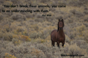 Horse Quotes and Cowgirl Quotes… with some Cowboy Quotes too