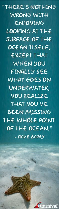 We had no idea how much there was to see underwater and how incredible ...