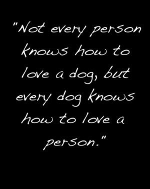 Love Dogs