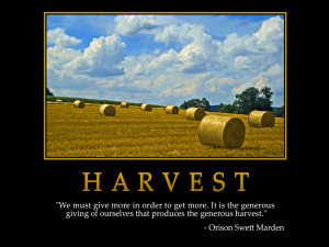 Harvest, Free Wallpapers, Free Desktop Wallpapers, HD Wallpapers