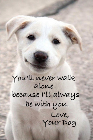 Pet Quotes I Love 1