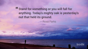 rosa parks quote - 110414 - 1800