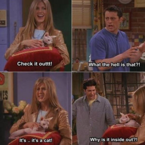 55 Memorable and Funny Friends TV Show Quotes