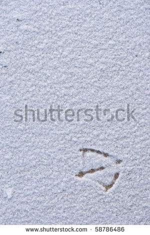 loneliness bird footprints on the snow background - stock photo