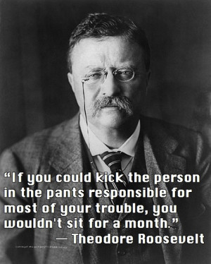 Theodore Roosevelt Quote