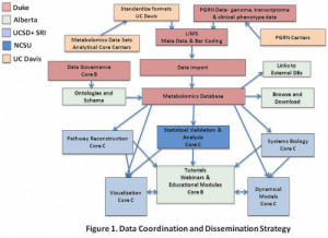 Data Governance Maturity Model