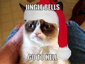 Funny Christmas Countdown Quotes Pictures, Status Images 2014