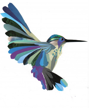 humming bird Hummingbird Poems