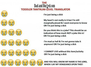 Toddler tantrum level translator