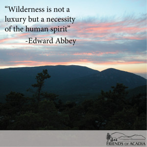 Edward Abbey Friday quote: edward abbey