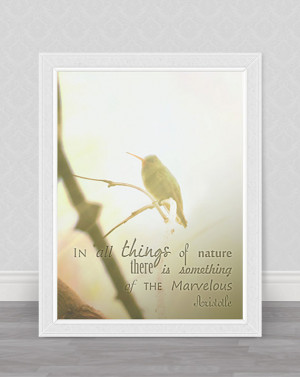 Pastel hummingbird photography, home decor / wall decor nature ...