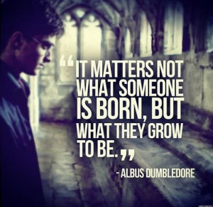 Harry Potter Quote Tumblr (8)