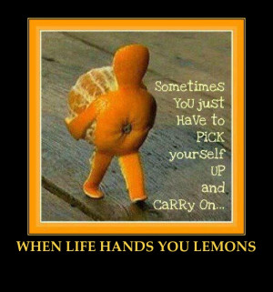 LIFE HANDS YOU LEMONS-FUNNY ORANGE-INSPIRATIONAL QUOTE