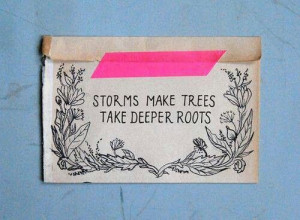 Storm makes trees take deeper roots