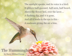 Hummingbird Poems and Quotes