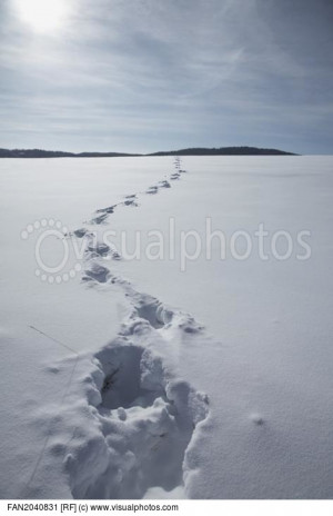 footprints_in_snow_covered_landscape_FAN2040831.jpg