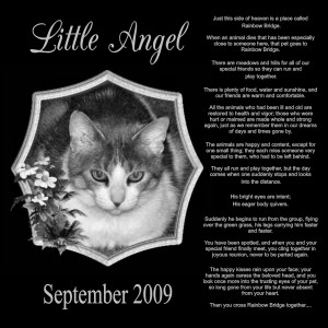 Pet Memorial Sayings Quotes Signscene