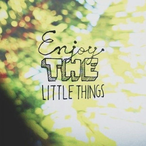 Enjoy the little things